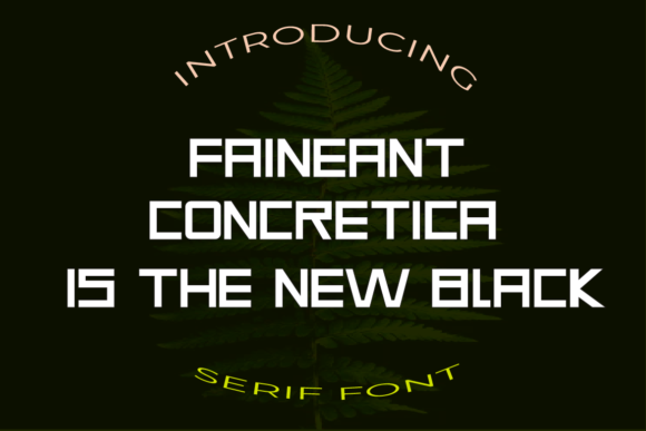 Elevate Your Handmade Brand with the Faineant Display Font