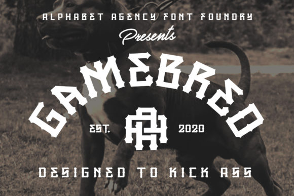 Gamebred: A Bold Display Typeface for Digital Confidence