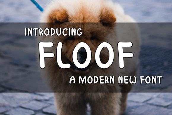 Introducing Floof: The Modern Editorial Display Font