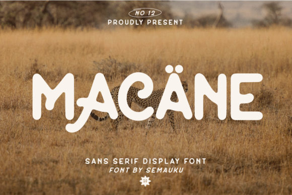 Macane: A Display Font for Editorial Mood